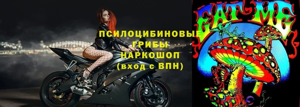 стаф Алексеевка