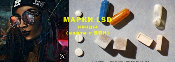 PSILOCYBIN Заводоуковск
