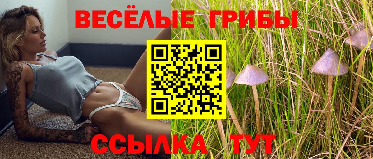 Псилоцибиновые грибы ЛСД Тулун